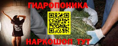 ECSTASY Можга