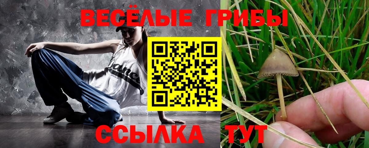 Псилоцибиновые грибы Psilocybine cubensis  Псилоцибиновые грибы Psilocybe  Вход с VPN  Чистополь 