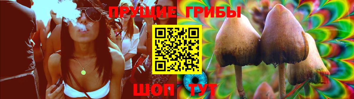 Галлюциногенные грибы прущие грибы Чистополь
